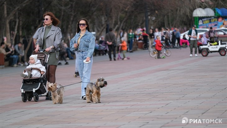 Четверг в Томске будет довольно теплым