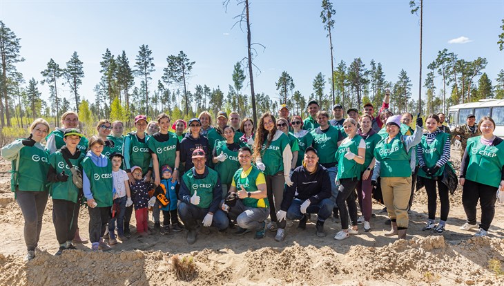 Сотрудники Сбера посадили 10 тысяч сосен в Томском районе