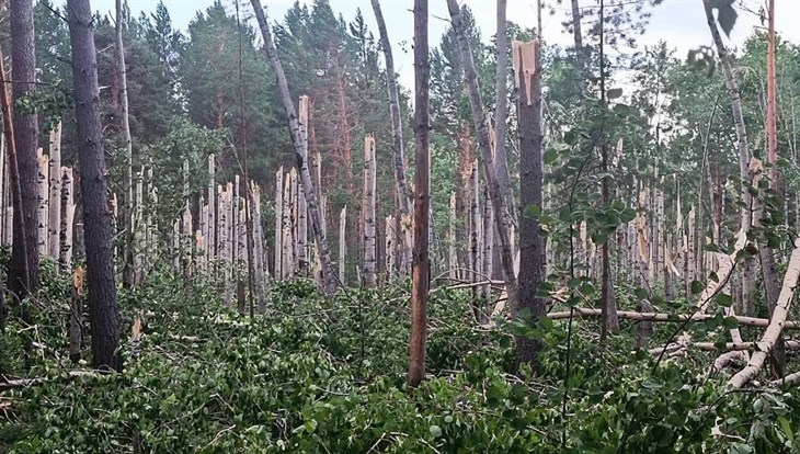 Синоптик: столь сильных гроз в Томске не было несколько десятилетий