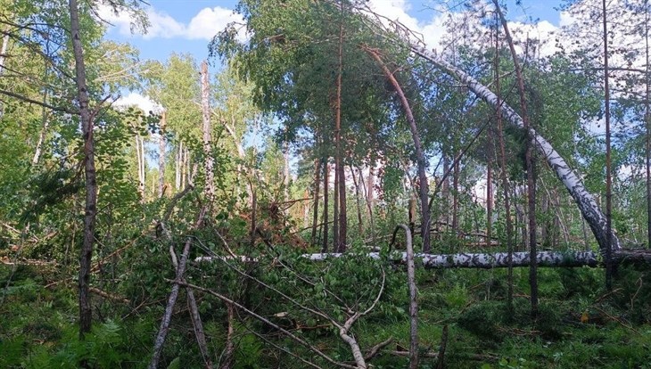 Синоптик: столь сильных гроз в Томске не было несколько десятилетий