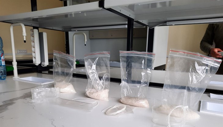 Проект ученых ТГУ поможет эффективно перерабатывать биопластик