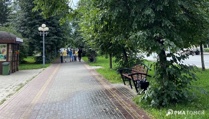 Биолог: в липком налете на тротуарах в центре Томска виновата тля