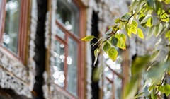 Сезонная аллергия: какие причины, симптомы и как бороться