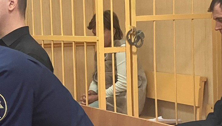 Обвиняемая в истязании приемной дочери томичка заключена в СИЗО