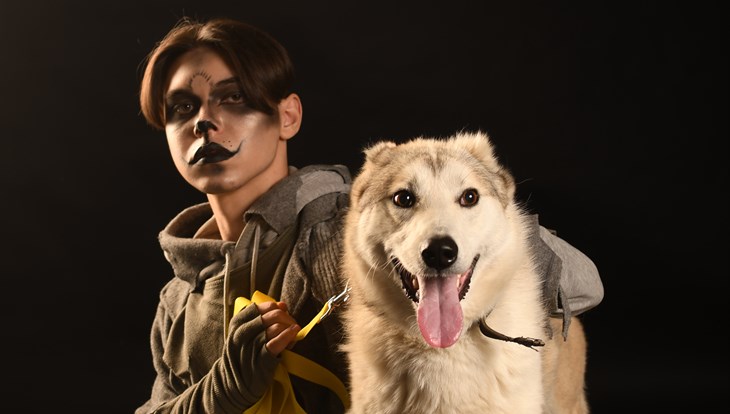 Собаки из томского приюта Дог Хаус снялись в рекламе спектакля