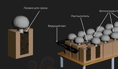 Студентка ТПУ выиграла 1 млн руб на создание грибоферм нового типа
