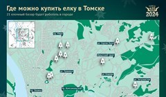 Елочные базары в Томске в декабре 2023 года: карта и адреса