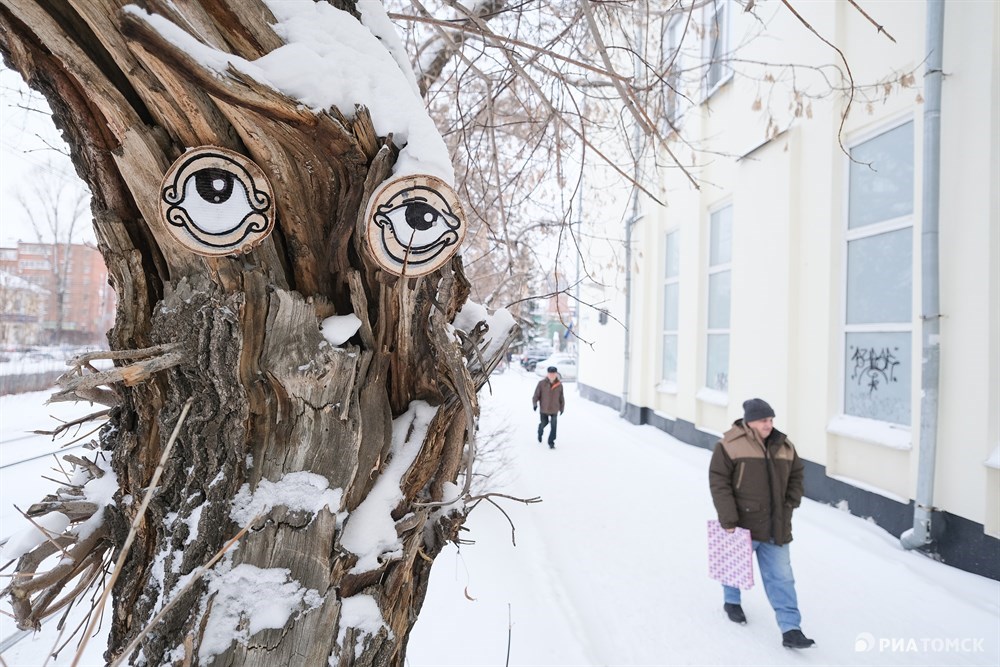 MonsTrees Дед (Комсомольский проспект, 62в)