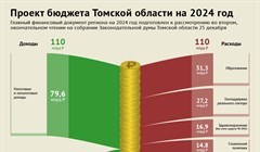 Дефицита нет: как распределили 110 млрд руб в бюджете Томской области