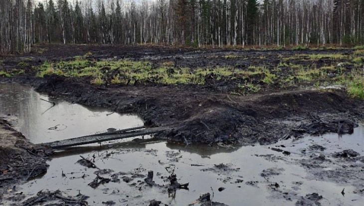 Томскнефть ВНК заплатила 20млн руб за разлив нефти на томском севере