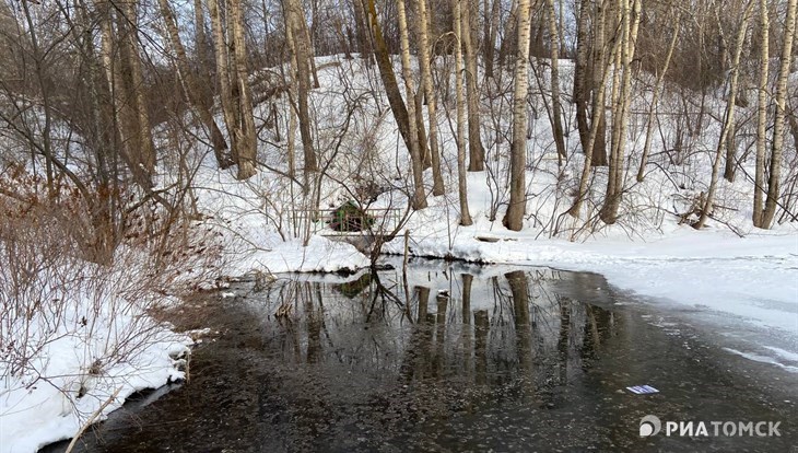 Власти оценили проект расчистки 83 ручьев и родников Томска в 5млн руб