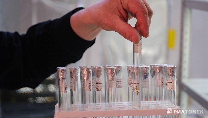 Томские биотехнологи клонируют краснокнижный рододендрон с Алтая