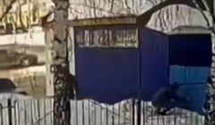 Видео с подозреваемыми в стрельбе по окнам томского техникума