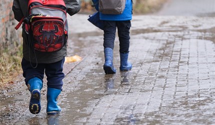Конец апреля в Томской области будет дождливым и чуть теплее нормы