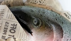Это точно торт?!: необычные десерты от томских кондитеров