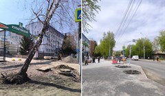 Дорожники повредили деревья на пр Фрунзе в Томске, часть уже снесена