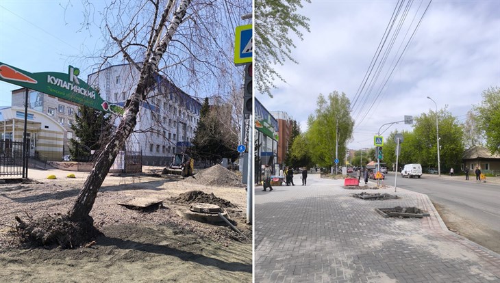 Дорожники повредили деревья на пр Фрунзе в Томске, часть уже снесена