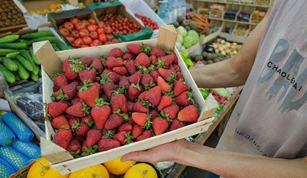 Импорт клубники из Кыргызстана в Томск ежегодно растет на 20%