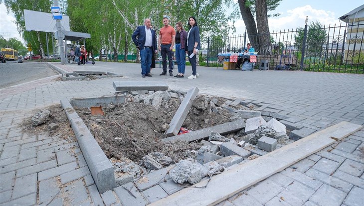 Мэрия Томска готова выслушать волонтеров по поводу озеленения Фрунзе
