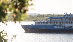 Пух, который томичи принимают за тополиный, – на самом деле от ивы