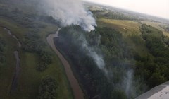 Площадь лесных пожаров в Томской области за сутки сократилась на треть