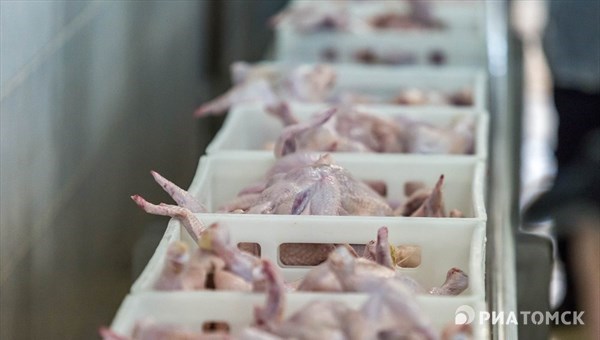 Томская Межениновка возобновила поставки в Китай куриных запчастей