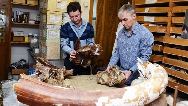 Скелет динозавра может быть установлен в главном корпусе ТГУ в 2016г
