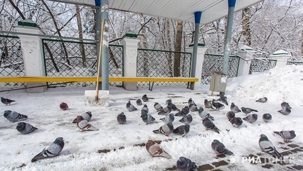 Понедельник в Томске обещает быть прохладным, возможен небольшой снег