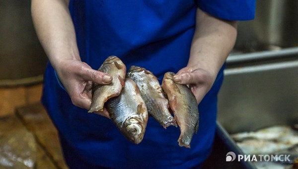 Три района Томской области получат субсидии на развитие рыбной отрасли