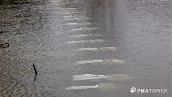 Число подтопленных в Томской области придомовых участков выросло до 46