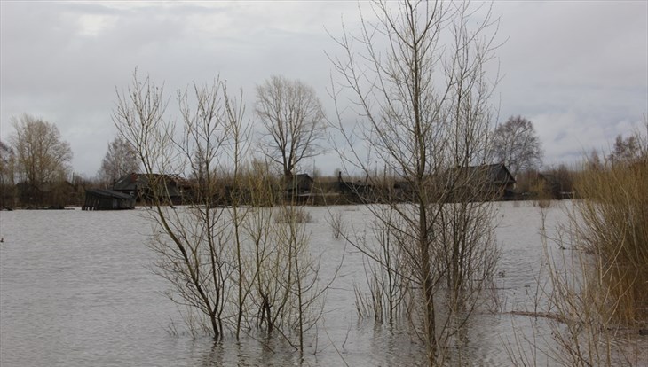Нефтеналивная баржа затонула в Томи неподалеку от Томска