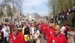 Томичи нашли на городской остановке штендер Бессмертного полка