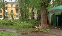 Рабочие демонтировали 50 ларьков и гаражей в Ленинском районе Томска