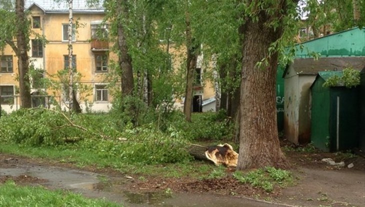 Рабочие демонтировали 50 ларьков и гаражей в Ленинском районе Томска