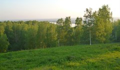 Ученые ТГУ выяснили, как в Томске появились березовые рощи