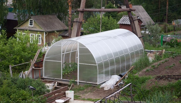 Власти оказали томским садоводам господдержку на 46 млн руб за 5 лет
