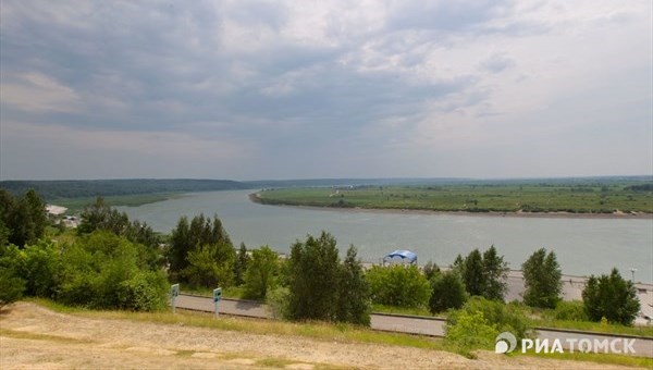 Луговые клещи вновь активизировались в Лагерном саду Томска