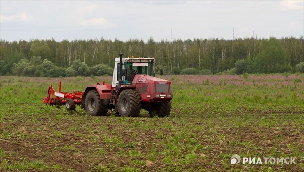 Жвачкин попросил томских аграриев в посевную работать круглосуточно