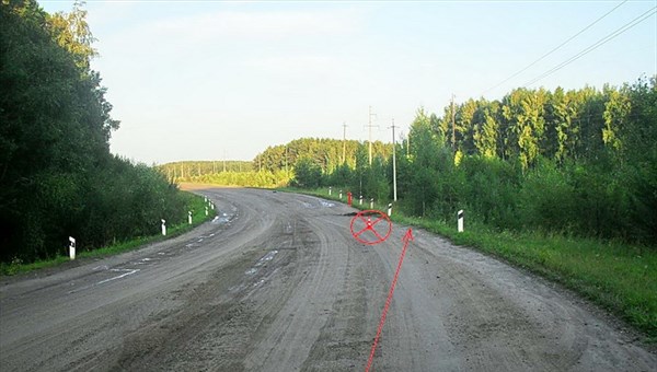 Детские кресла спасли двоих детей в ДТП на трассе в Томской области