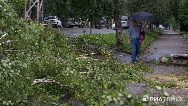 Коммунальщики Томска убрали с дорог 10 деревьев после ночной грозы
