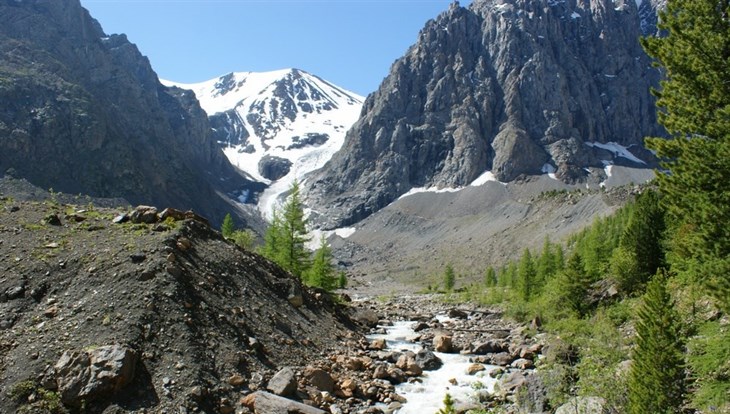 Tomsk scientist intends to ask ticks about global warming