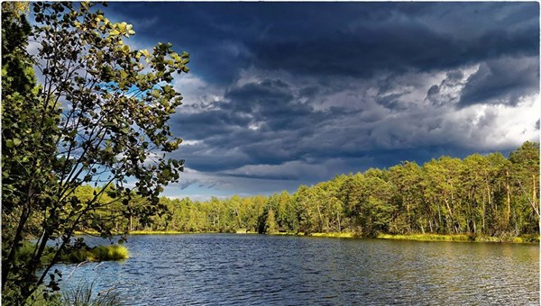 TSU scientists learned to rescue lakes’ ecosystems from oil pollution