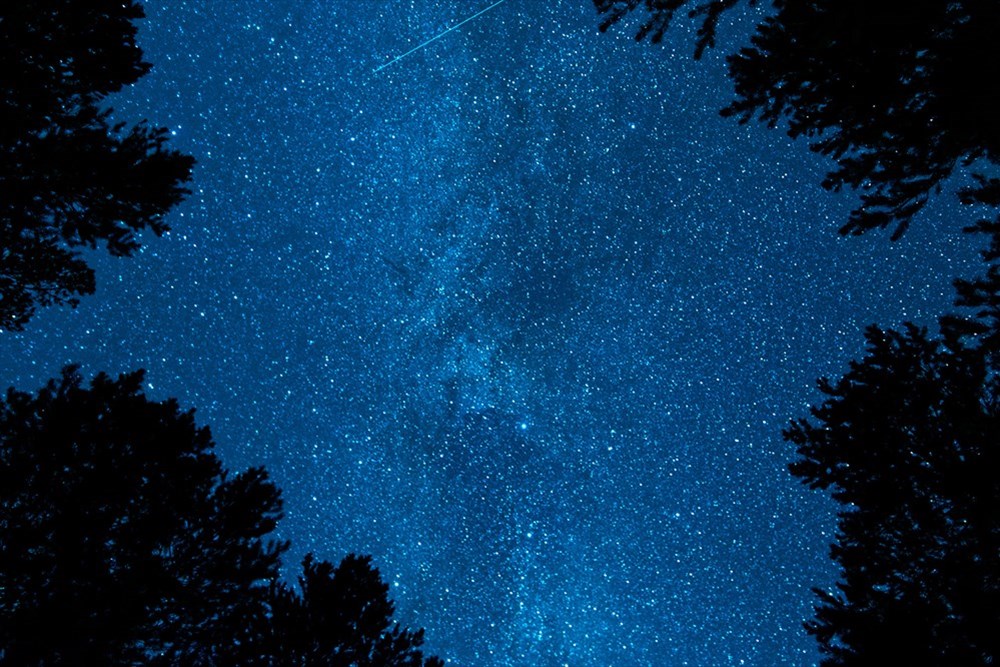 Астрологи отмечают – в Томской области нечасто можно увидеть небесные явления, тем не менее фотографу удалось запечатлеть звездное небо и Млечный Путь.