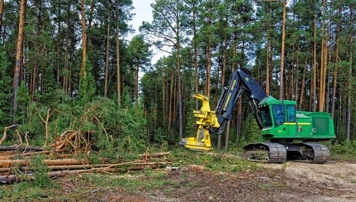 Authorities: certification FSC brings Tomsk forestry to world markets