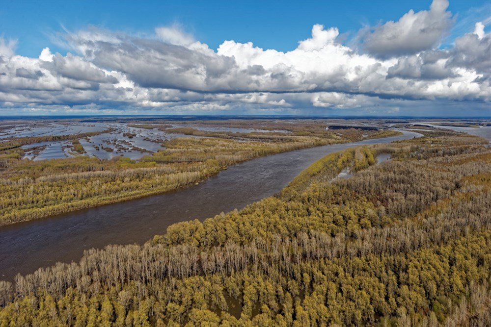 Значительную часть территории Томской области занимают также болота, реки и озера. Вся речная система принадлежит бассейну Оби, которая пересекает область с юго-востока на северо-запад, деля ее на две почти равные части.