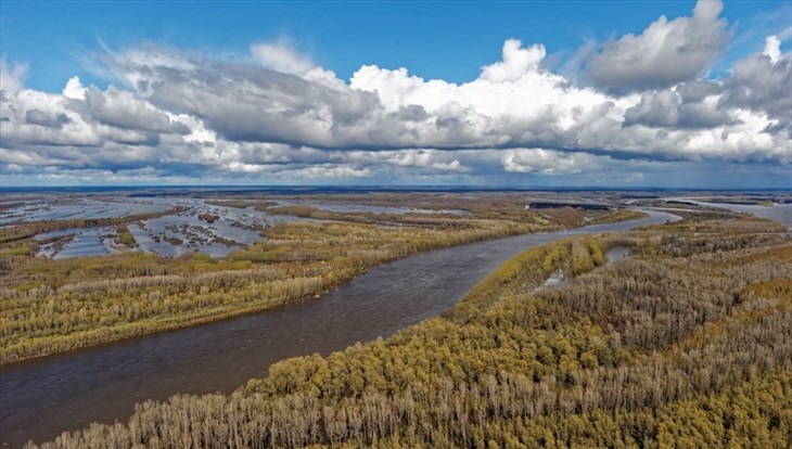 Zhvachkin: TSU scientists with colleagues help to keep Vasyugan Swamp