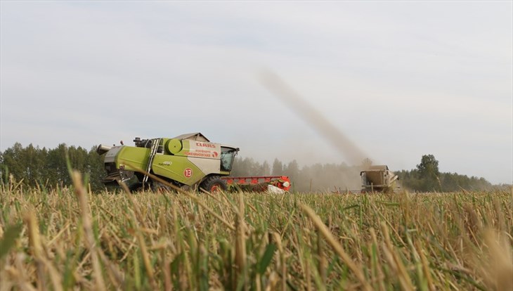 Томские аграрии планируют получить на 6,7% больше зерна, чем в 2015г