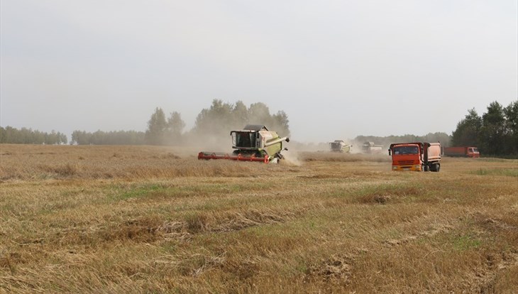 Томская область получит 200 млн руб на поддержку сельхозпроизводства