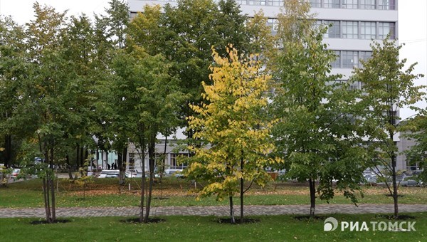 Синоптик: бабье лето в Томске начнется 2 сентября
