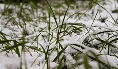 Первый снег выпал на севере Томской области
